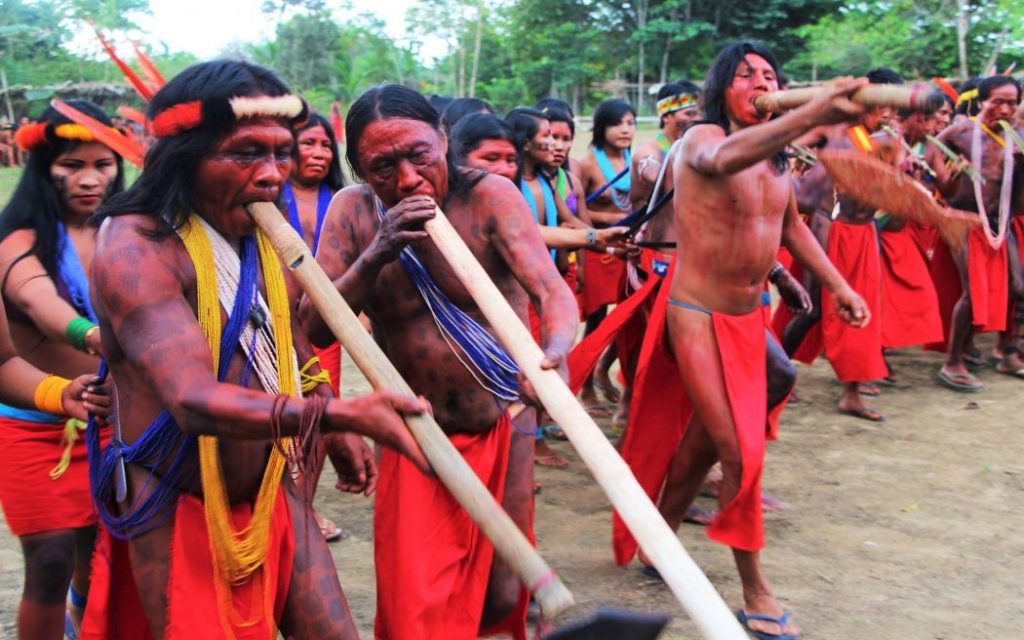 A luta do Povo Waiãpi é nossa também!